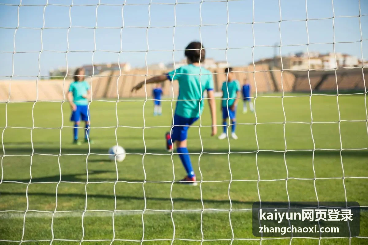 kaiyun网页登录账号核验要点示意图