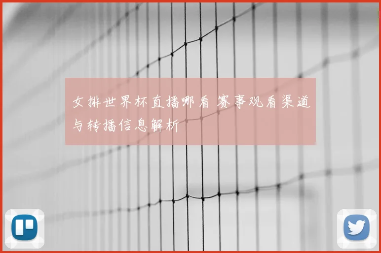 女排世界杯直播哪看 赛事观看渠道与转播信息解析
