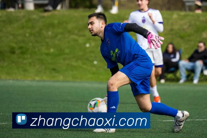 安博app登录入口网页版发展历程